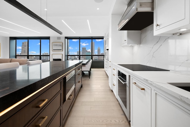 kitchen with under cabinet range hood, light wood finished floors, decorative backsplash, a wall of windows, and dark stone countertops