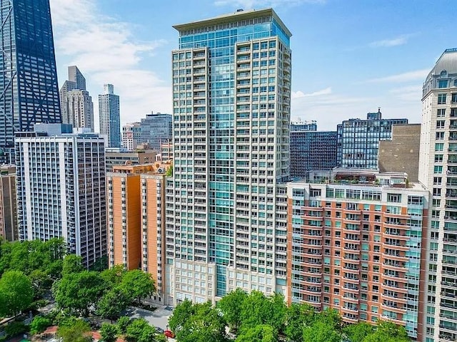 250 E Pearson St Unit 2006, Chicago, IL 60611 - view of city