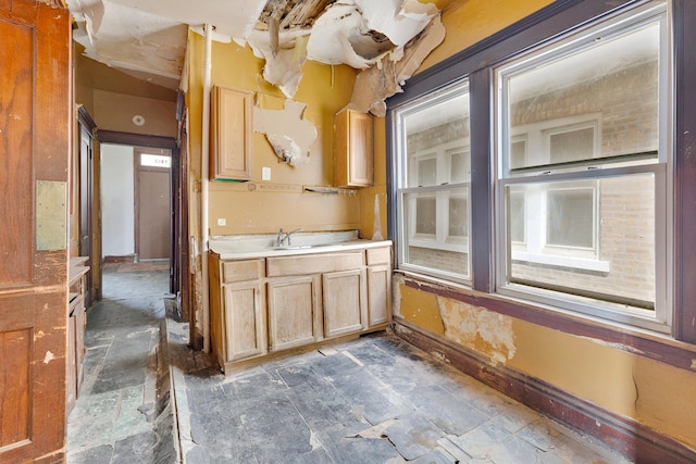 7813 S May St, Chicago, IL 60620 - kitchen featuring a sink and light countertops