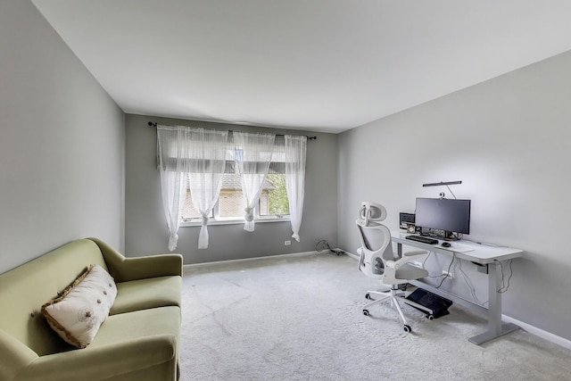 1571 W Rue James Pl, Palatine, IL 60067 - office with carpet flooring and baseboards
