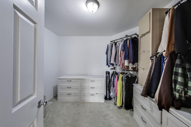 1571 W Rue James Pl, Palatine, IL 60067 - spacious closet with light carpet
