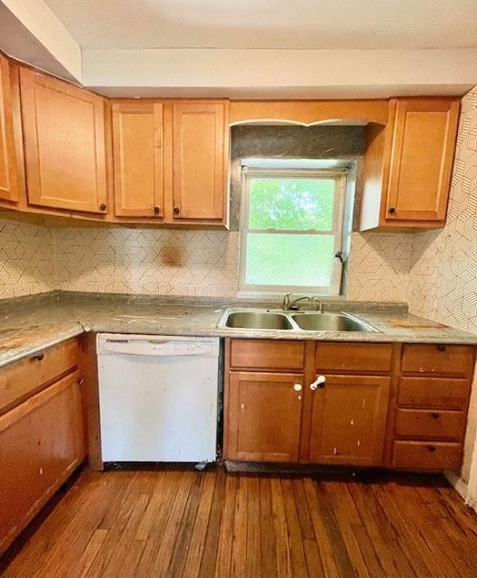 kitchen featuring dishwasher, a sink, dark wood finished floors, and tasteful backsplash