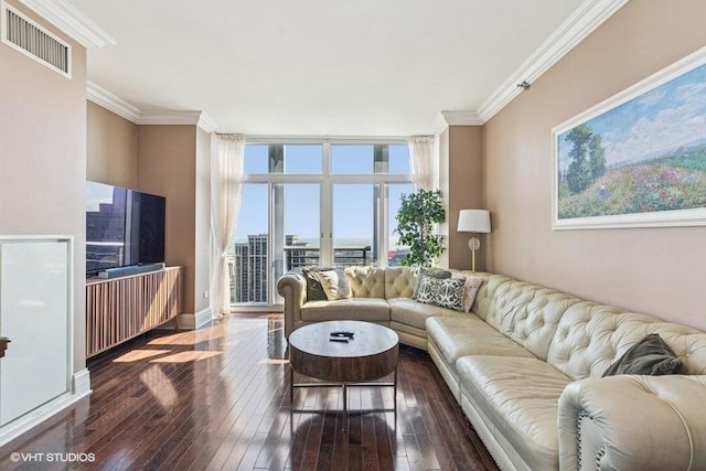 1400 S Michigan Ave Unit 2303, Chicago, IL 60605 - living room with dark wood-style flooring, crown molding, and baseboards