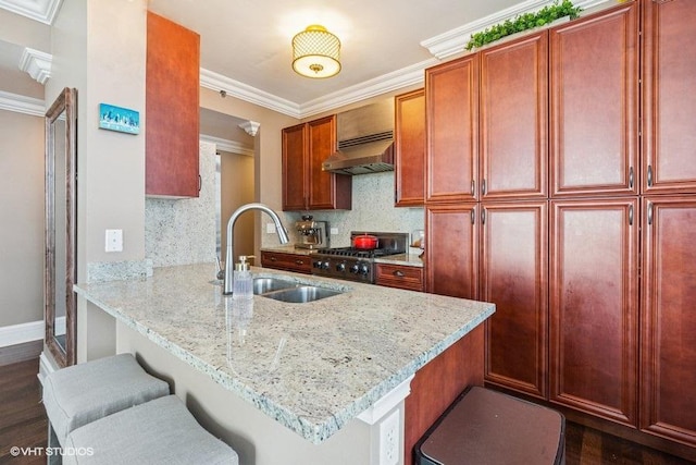 1400 S Michigan Ave Unit 2303, Chicago, IL 60605 - kitchen featuring a sink, range, light stone counters, tasteful backsplash, and ornamental molding
