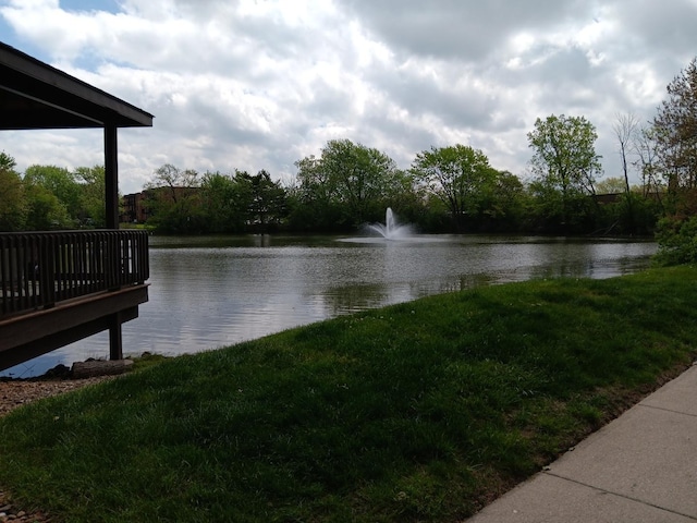 7537 175th St Unit 514, Tinley Park, IL 60477 - water view