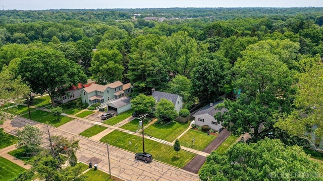 230 Union Ave, Batavia, IL 60510 - bird's eye view of a forest