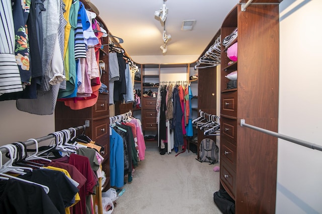 22388 Crimson Ln, Frankfort, IL 60423 - spacious closet with light carpet
