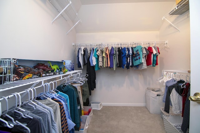 22388 Crimson Ln, Frankfort, IL 60423 - walk in closet with carpet