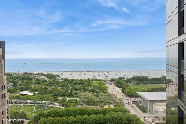 60 E Monroe St Unit 2607, Chicago, IL 60603 - water view