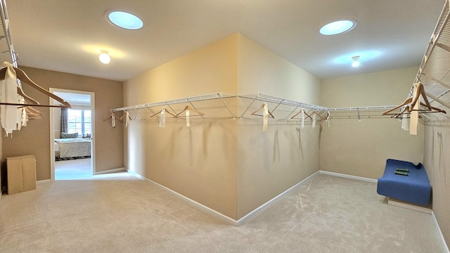 20161 Preston Ln, Lynwood, IL 60411 - spacious closet featuring carpet flooring