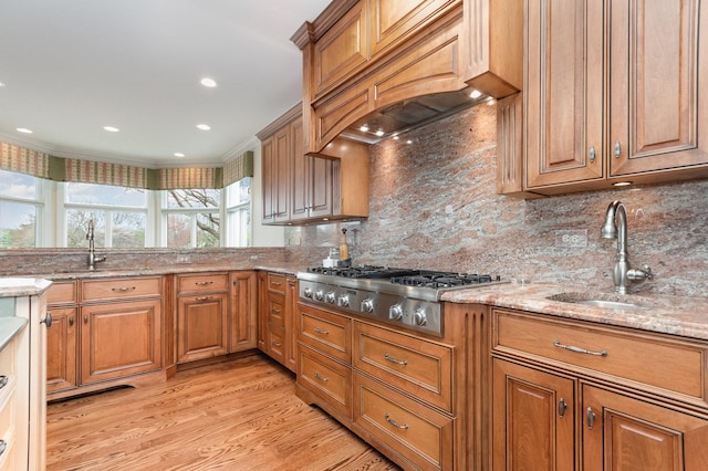 24516 W Emyvale Ct, Plainfield, IL 60586 - photo 5