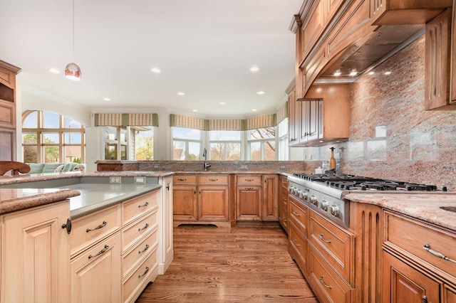 24516 W Emyvale Ct, Plainfield, IL 60586 - photo 6