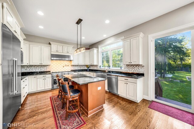 1327 Greenwood Ave, Deerfield, IL 60015 - kitchen with built in appliances, under cabinet range hood, tasteful backsplash, a center island, and wood finished floors