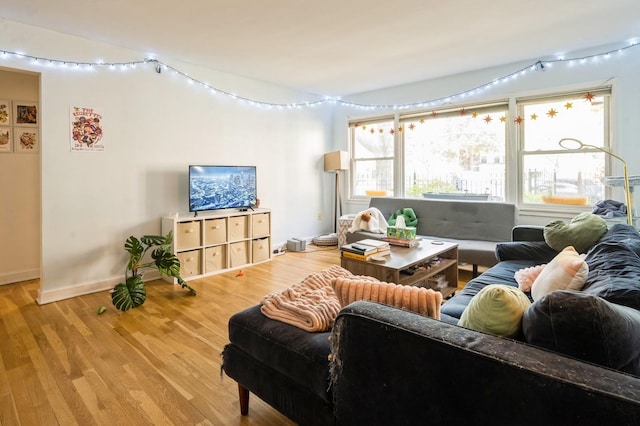 living area featuring wood finished floors, rail lighting, and baseboards