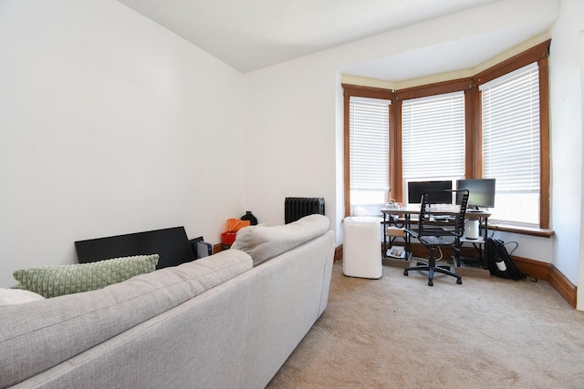 523 E 41st St, Chicago, IL 60653 - home office with light colored carpet and baseboards
