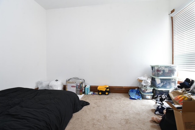 523 E 41st St, Chicago, IL 60653 - bedroom featuring carpet floors