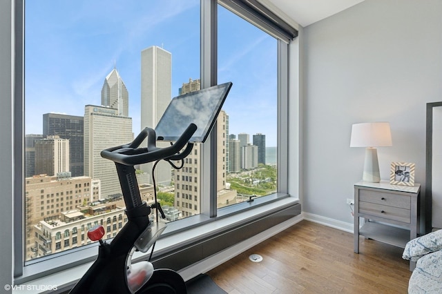 60 E Monroe St Unit 3308, Chicago, IL 60603 - workout room with a view of skyline, baseboards, wood finished floors, and expansive windows