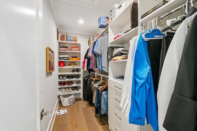 604 Cayman Way, Savoy, IL 61874 - spacious closet with light wood finished floors