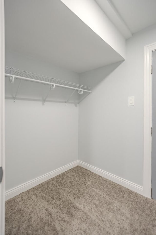 1013 W 18th Pl, Chicago, IL 60608 - walk in closet with carpet