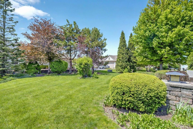view of green lawn