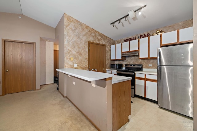 421 Leah Ln Unit 2D, Woodstock, IL 60098 - kitchen featuring stainless steel appliances, under cabinet range hood, lofted ceiling, a peninsula, and light countertops