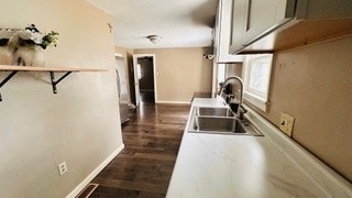 812 W Monroe St, Bloomington, IL 61701 - kitchen with a sink, dark wood finished floors, and baseboards