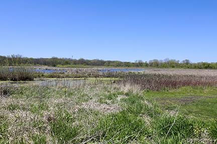 1803 Orchard Ln, Mchenry, IL 60050 - view of yard