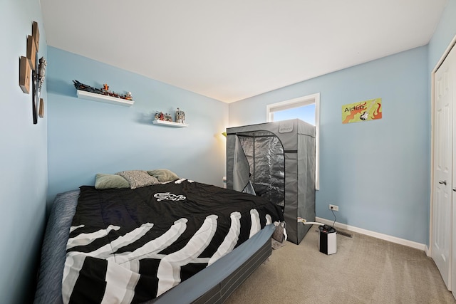 2274 Scotsglen Dr, New Lenox, IL 60451 - carpeted bedroom with baseboards and a closet