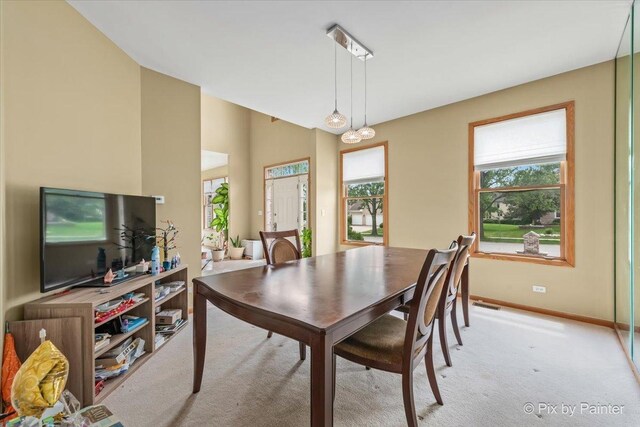 816 Seers Dr, Schaumburg, IL 60173 - photo 14