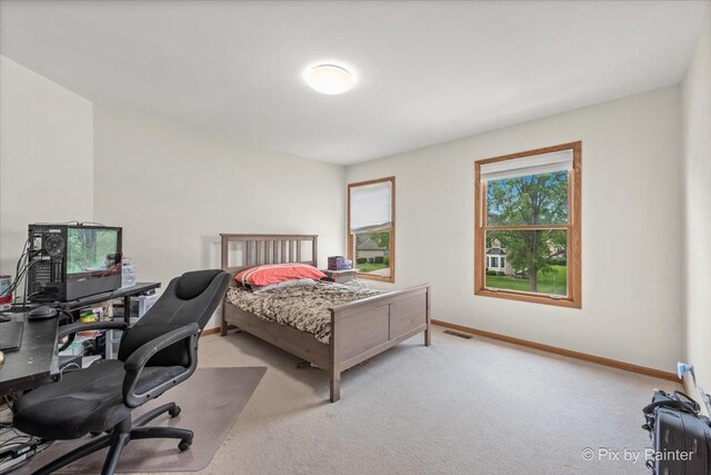 816 Seers Dr, Schaumburg, IL 60173 - photo 22