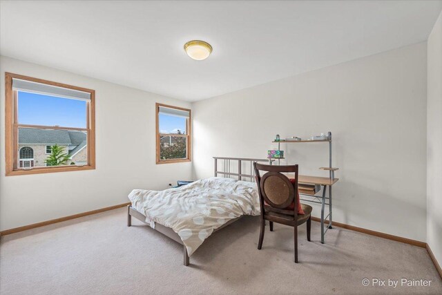 816 Seers Dr, Schaumburg, IL 60173 - photo 24