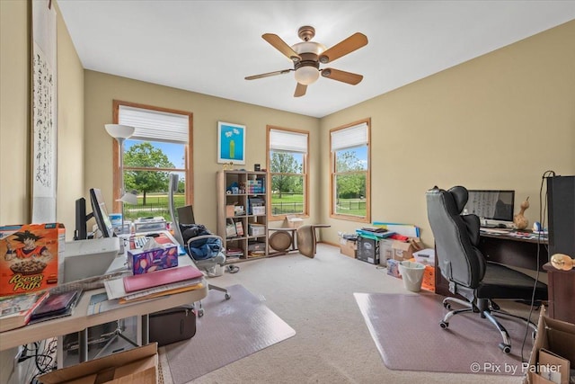 816 Seers Dr, Schaumburg, IL 60173 - photo 7