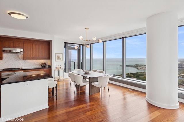60 E Monroe St Unit 6203, Chicago, IL 60603 - dining space with a chandelier, wood finished floors, a water view, and baseboards