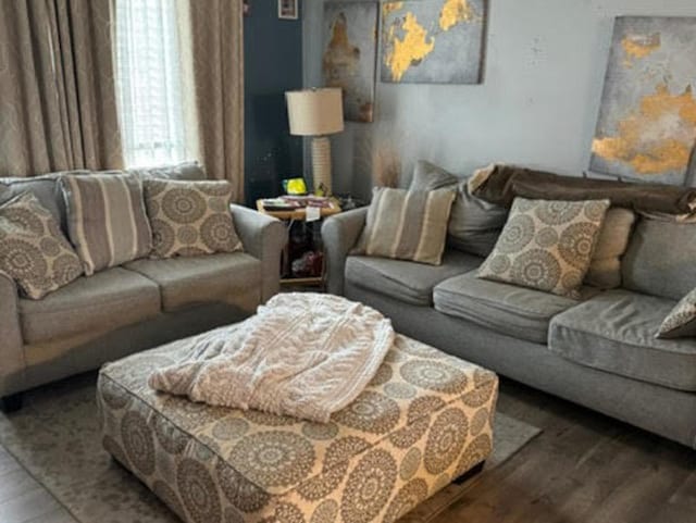 living area featuring wood finished floors