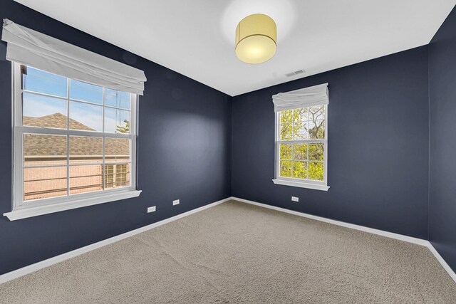 62 E Emma Ct, Palatine, IL 60067 - spare room featuring carpet floors and baseboards
