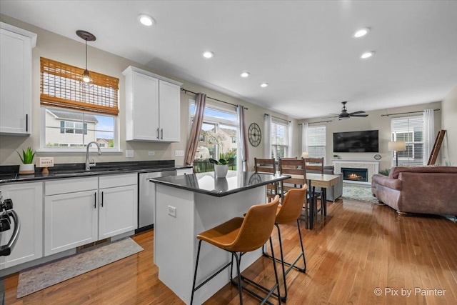 8926 Cook Way, Huntley, IL 60142 - kitchen with a sink, stainless steel dishwasher, light wood finished floors, dark countertops, and a ceiling fan