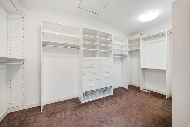 9231 N Natchez Ave, Morton Grove, IL 60053 - spacious closet featuring carpet floors