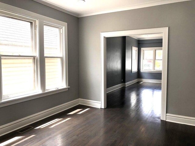 9715 S Ave N Ave, Chicago, IL 60617 - unfurnished room featuring plenty of natural light, crown molding, baseboards, and dark wood finished floors