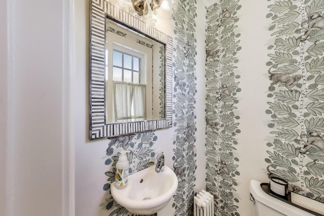 bathroom with radiator, a sink, and toilet