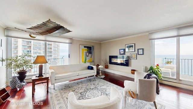 6033 N Sheridan Rd Unit 27B, Chicago, IL 60660 - living room featuring wood finished floors, ornamental molding, and baseboards