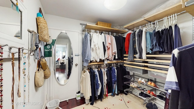 6033 N Sheridan Rd Unit 27B, Chicago, IL 60660 - view of walk in closet