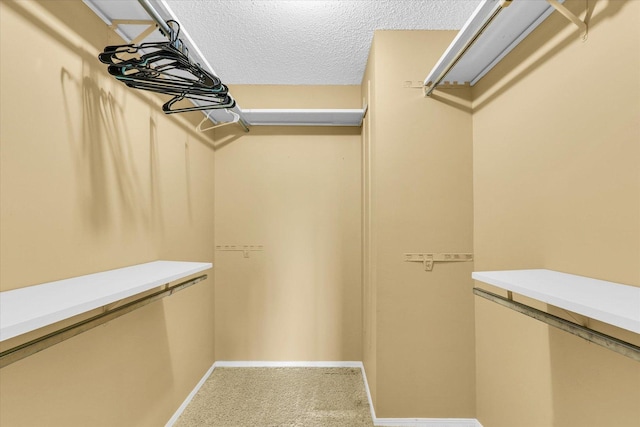 1109 Pomona Dr Unit 1109, Champaign, IL 61822 - walk in closet featuring carpet