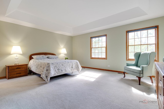337 S Harrison Ct, Palatine, IL 60067 - carpeted bedroom with a raised ceiling and baseboards