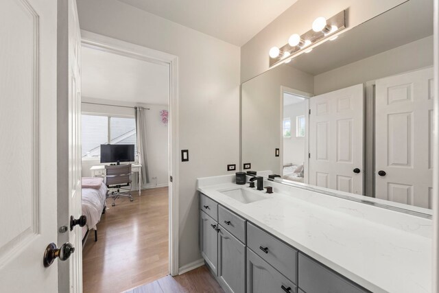 2990 Melbourne Ln, Lake In The Hills, IL 60156 - ensuite bathroom featuring vanity, wood finished floors, and baseboards