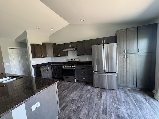 734 Keller Dr, Dixon, IL 61021 - kitchen with appliances with stainless steel finishes, a sink, under cabinet range hood, dark wood-style flooring, and high vaulted ceiling