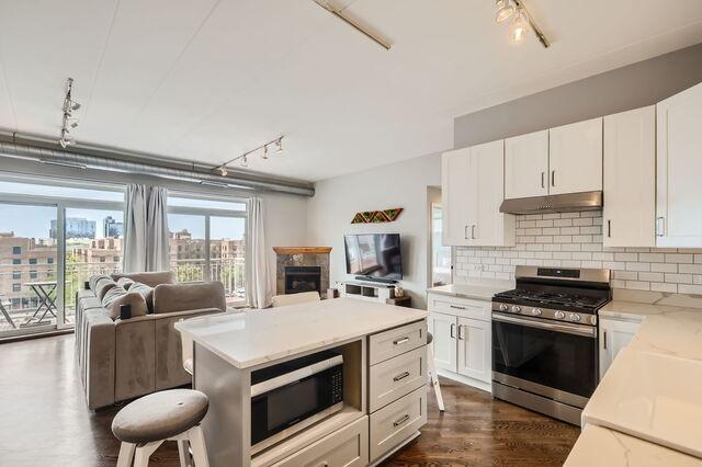 1405 N Orleans St Unit 5N, Chicago, IL 60610 - kitchen with track lighting, stainless steel appliances, under cabinet range hood, and open floor plan