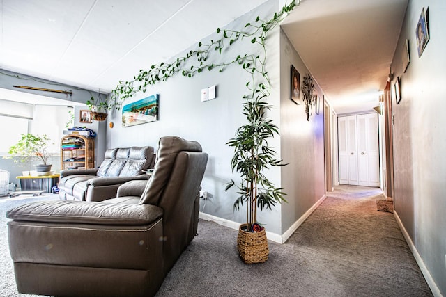 300 S Roselle Rd Unit 221, Schaumburg, IL 60193 - photo 13