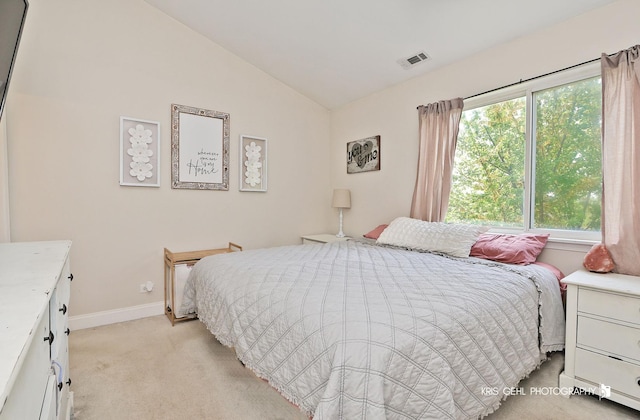 86 E Old Mill Trl, Antioch, IL 60002 - photo 11