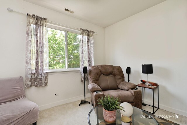 86 E Old Mill Trl, Antioch, IL 60002 - photo 16