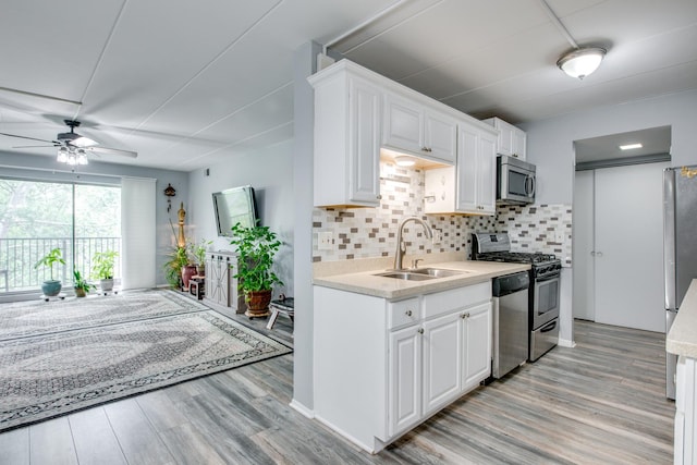 5S040 Pebblewood Ln Unit W503, Naperville, IL 60563 - kitchen with appliances with stainless steel finishes, a sink, light countertops, ceiling fan, and light wood-style flooring